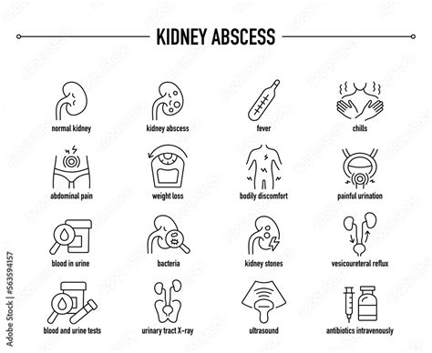 Kidney Abscess symptoms, diagnostic and treatment vector icon set. Line editable medical icons ...