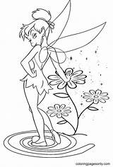 Tinkerbell Coloring Pages  For Kids And Adults sketch template