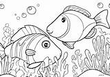 Fish In Aquarium Coloring Pages sketch template