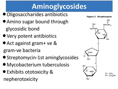 Aminoglycosides and their uses.