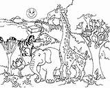 Forest Habitat Coloring Pages Sketch Page sketch template