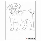 Pug Coloring Page sketch template