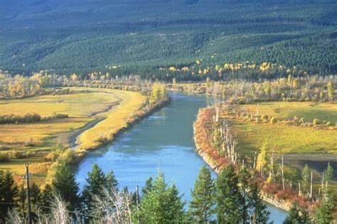 Natural levees are banks of sand and silt along stream bank built by ...