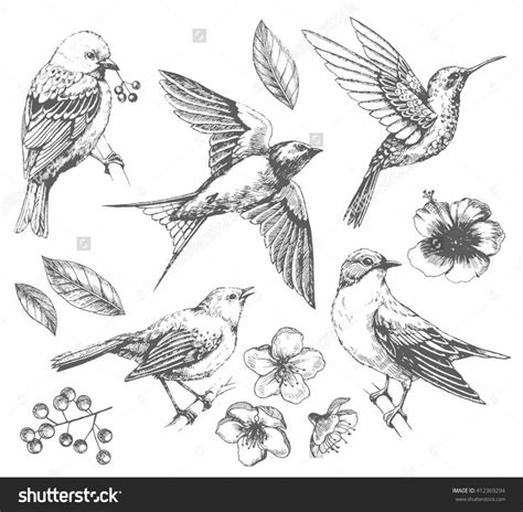 Set of of birds and flowers, line drawings, ink drawing, hand drawn illustration, Vector | Arte ...