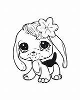 Littlest Pet Shop Coloring Page Cat Kids Colouring Pages  Coloring Home sketch template