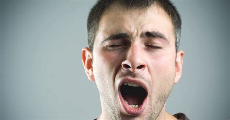 Study Suggests Yawning May Be Linked to Brain Cooling