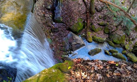 Sipsey Wilderness above Featherhawk Falls | Outdoor, The great outdoors, Memories faded