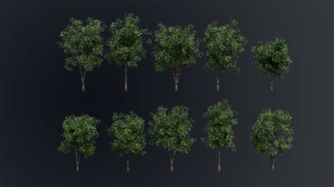 3D Realistic Animated Tree Pack Blender 3 Model - TurboSquid 1850656