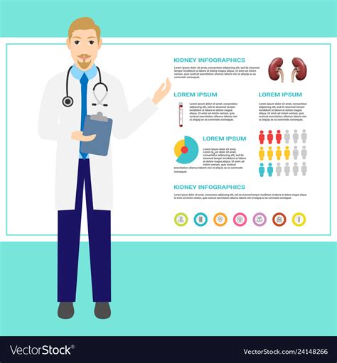 Doctor for a description of the kidney diseases Vector Image