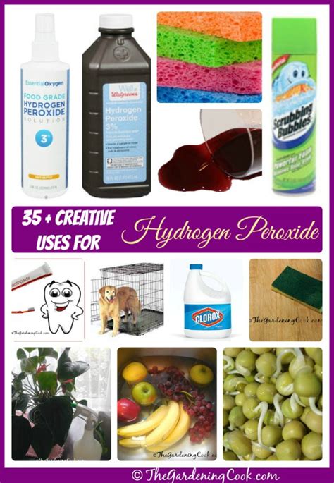 Nasal Rinse Recipe Hydrogen Peroxide | Dandk Organizer