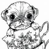 Cute Pug Coloring Pages At GetColoringscom  Free Printable Colorings sketch template