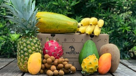 Tropical Fruit Box review: Exotic fruit delivered direct - Reviewed