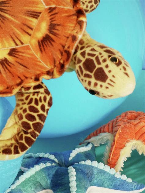 Sea LIfe Plush Toys and Bouncy Balls 2 Photograph by Scott Johnson - Fine Art America