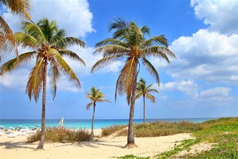 Best Beaches in Havana | Beautiful Beaches Near Havana to Visit,Cuba