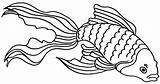 Happy Goldfish Coloring Page  Free Printable Pages For Kids sketch template