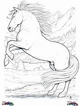 Free Coloring Pages Clydesdale Horses sketch template