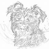 Zentangle Dog Coloring Page  Pages Mimi Panda sketch template