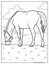 40 Farm Animal Coloring Pages Free PDF Printables sketch template