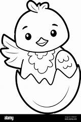 Coloring Book Or page For Kids chick Black And White Vector  sketch template