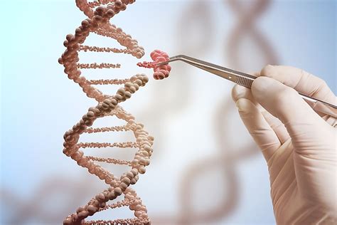 What Is Genetic Modification? - WorldAtlas.com