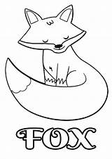 Fox Coloring Pages Print Printable Color Foxes Colouring Kids Sketch  sketch template