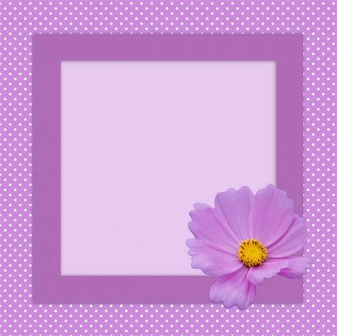 Purple Flower Card Frame Free Stock Photo - Public Domain Pictures