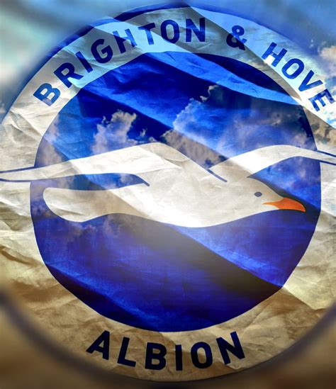 720P free download | Brighton hove Albion, brighton fc, football, HD phone wallpaper | Peakpx