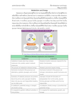 Metabolism and Energy.pdf