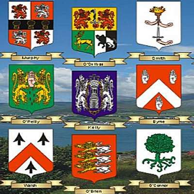 100 Irish surnames explained,Irish Genealogy,Irish coats of arms,How to ...