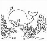Cute Whale Coloring Page For Kids  ColoringBay sketch template
