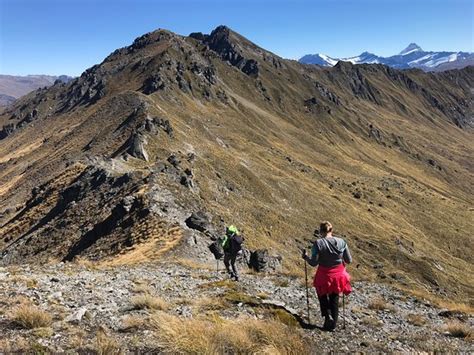 Wanaka Heli Hikes: UPDATED 2021 All You Need to Know Before You Go ...