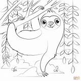 Cartoon Sloth Coloring Pages Sketch Page sketch template