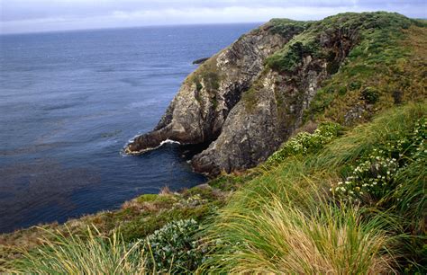 The 10 Best Things to Do on Cape Horn, Chile