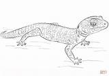 Leopard Gecko coloring Page  Free Printable Coloring Pages sketch template