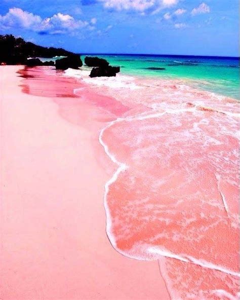 Pink Sands Beach in the Bahamas | Places to travel, Places to visit, Vacation spots