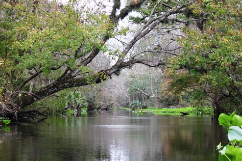 Views From Our Kayak: Wekiva River