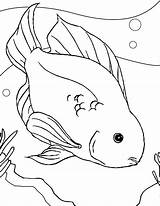 Free Printable Fish Coloring Pages For Kids sketch template