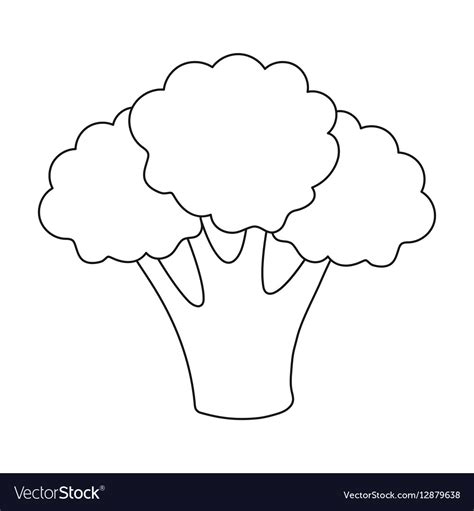 Broccoli icon outline singe vegetables icon from Vector Image