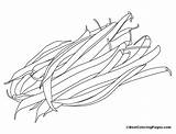 Green Beans Coloring Page Free  Home sketch template