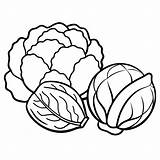 Brussels sprouts Cabbage Zucchini Vegetables Outline coloring Book Page  sketch template