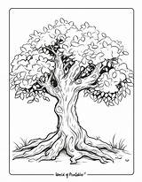 Fall Tree Coloring Page sketch template