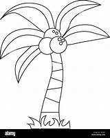 Coconut Tree Coloring Page sketch template