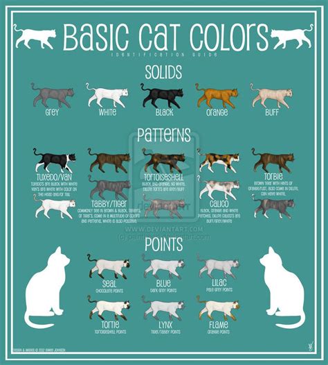 cat colors chart - Google Search | Cat colors, Cat breeds chart ...