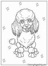Poodle Coloring Pages  Free Printable PDF JPG PNG & Online Coloring sketch template