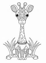 Iheartcraftythings Printables Giraffe Sketch Coloring Page sketch template