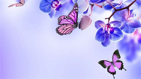 Aesthetic Butterfly Desktop Wallpapers - Wallpaper Cave