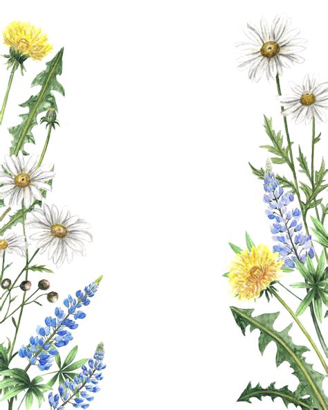 Watercolor wildflowers frames (306999) | Illustrations | Design Bundles | Illustration ...