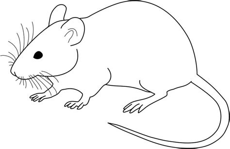 Vector diagram of laboratory mouse (black and white) - File:Vector diagram of laboratory m ...