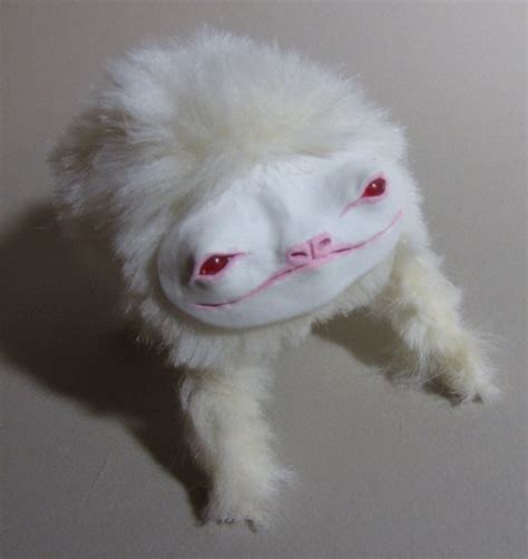 Albino Sloth by berdandwerm on Etsy