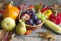 Autumn fruits - Free Stock Image